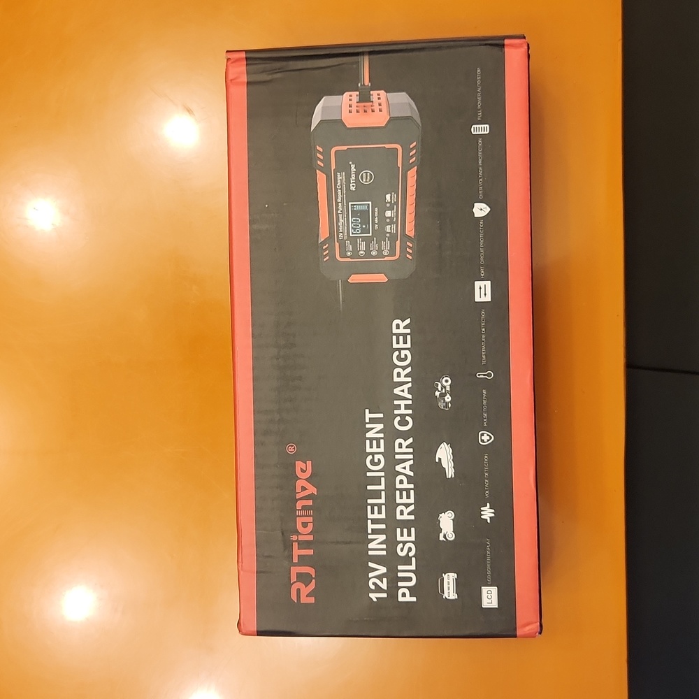 12v Pulse Charger